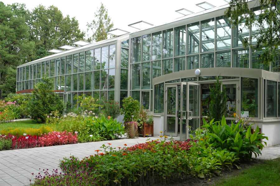 Füvészkert